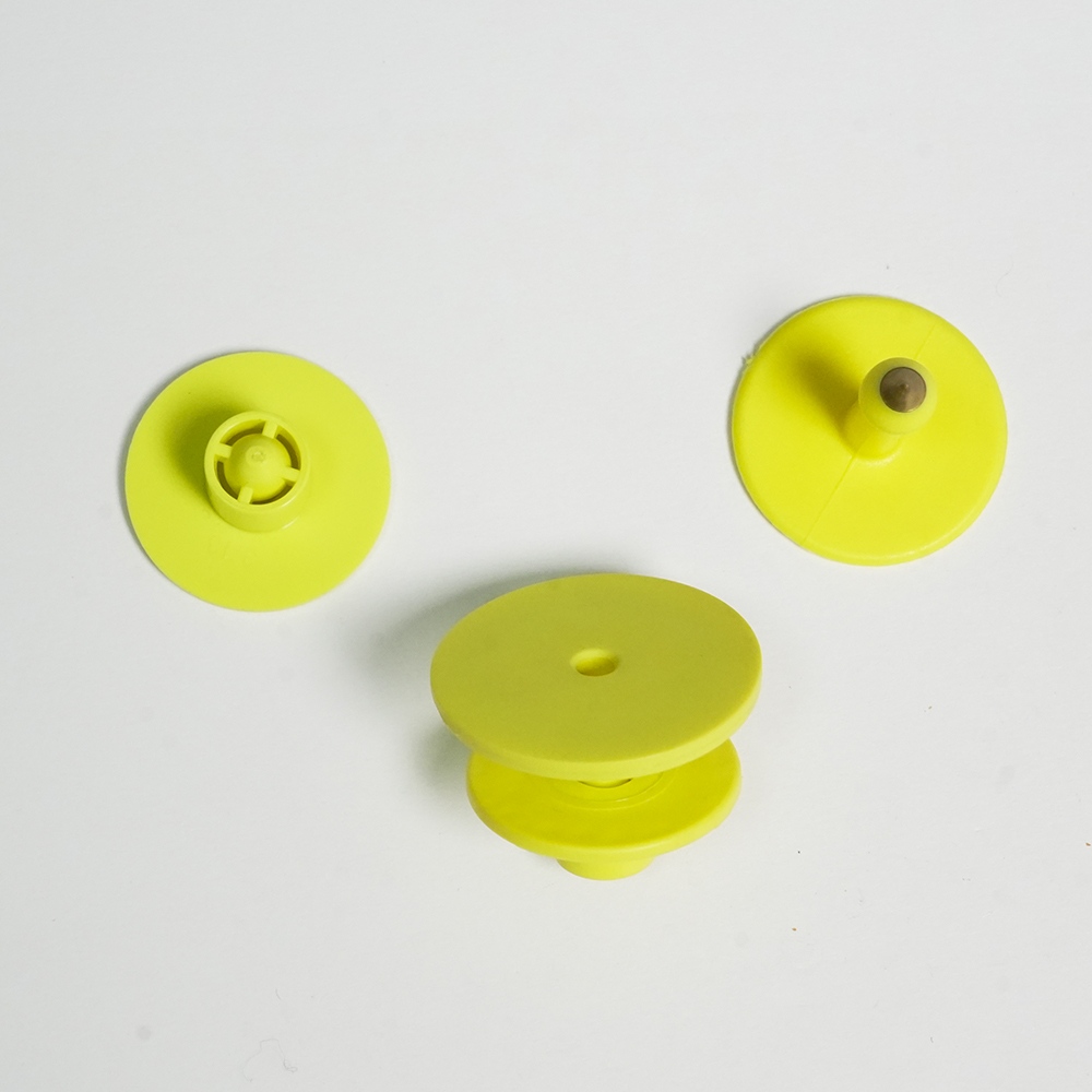 Electronic ear tag for pigs